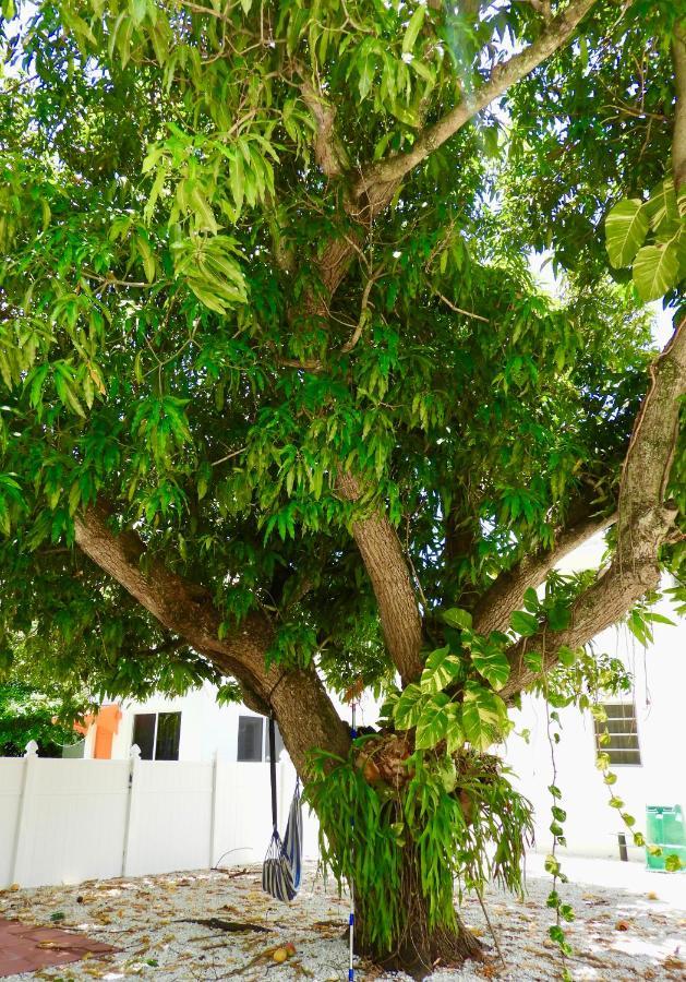 Beautiful Casita With King Bed And Private Patio Close To Calle 8, Mia Airport, Coral Gables ไมอามี ภายนอก รูปภาพ